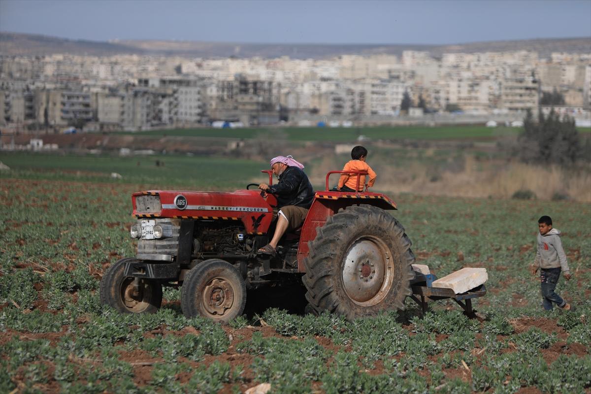 5 yıl geçti: Afrin'de huzur hakim