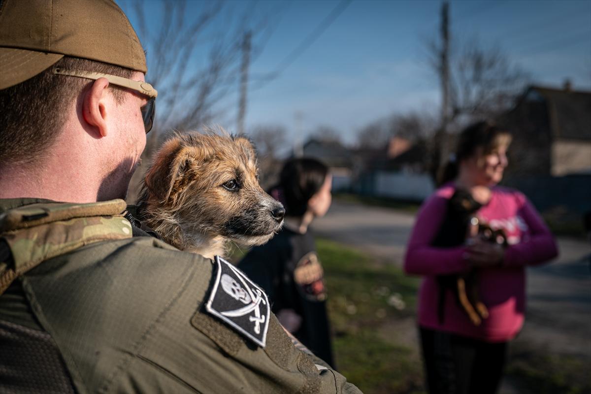 Ukrayana'da savaşın gölgesinde yaşam devam ediyor