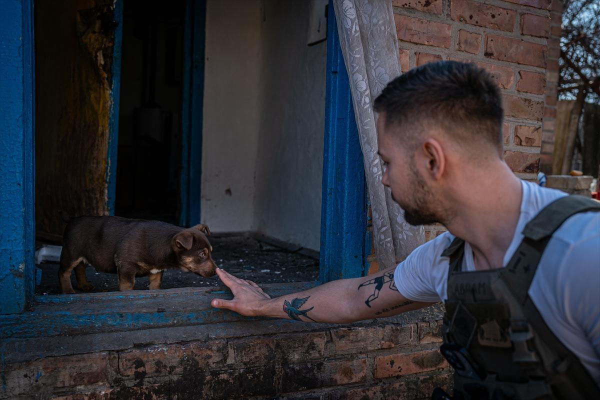 Ukrayana'da savaşın gölgesinde yaşam devam ediyor