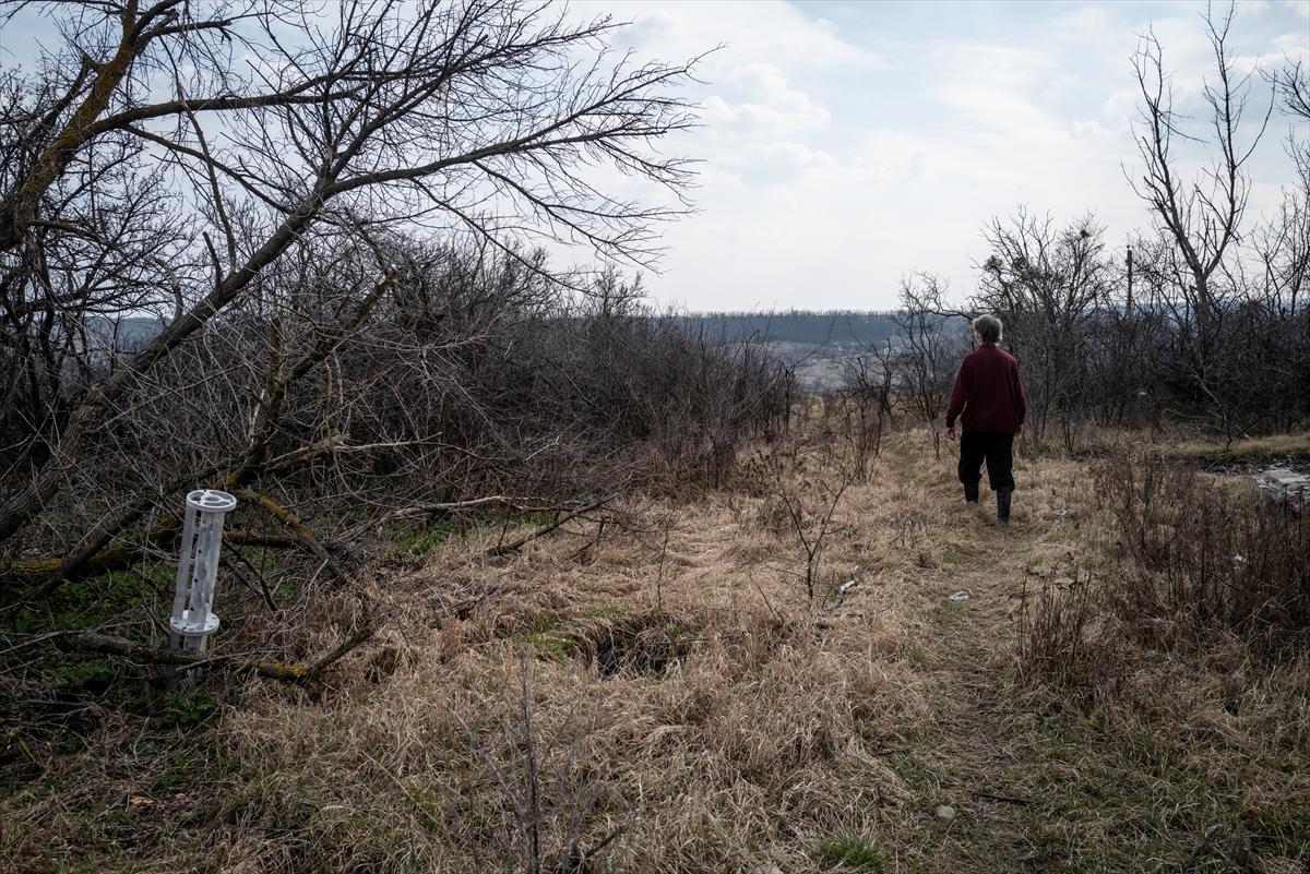 Ukrayana'da savaşın gölgesinde yaşam devam ediyor