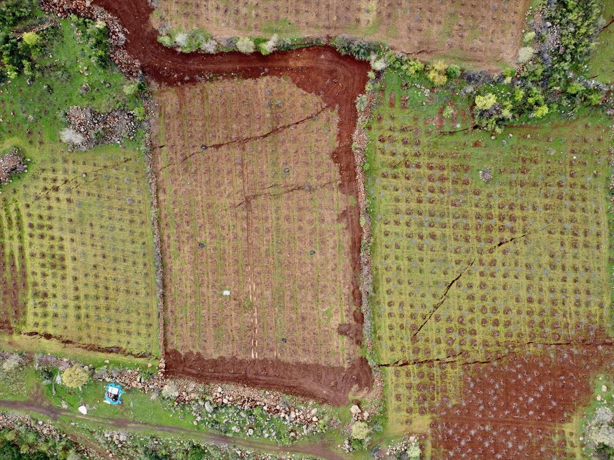 Hatay'da depremin ardından yarıklar oluştu