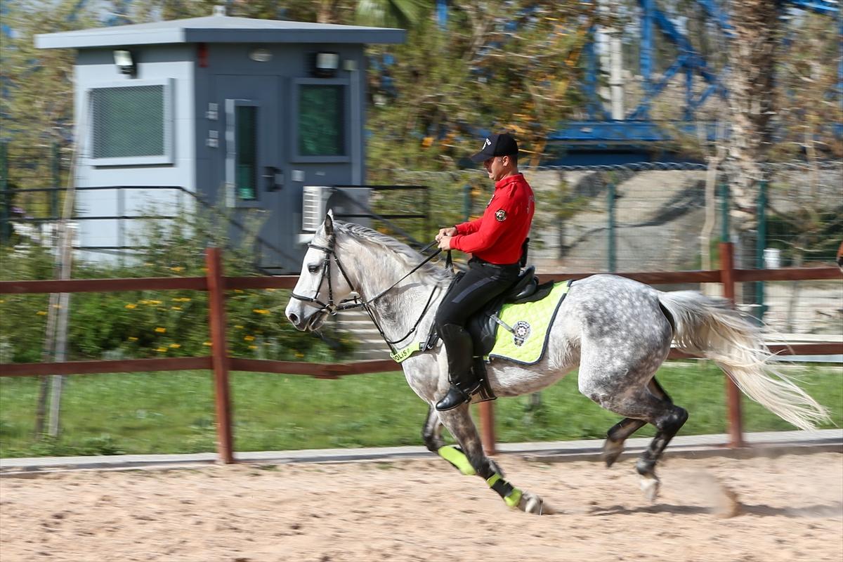 Huzur ve güveni sağlayan atlı polislerin eğitimlerinden kareler
