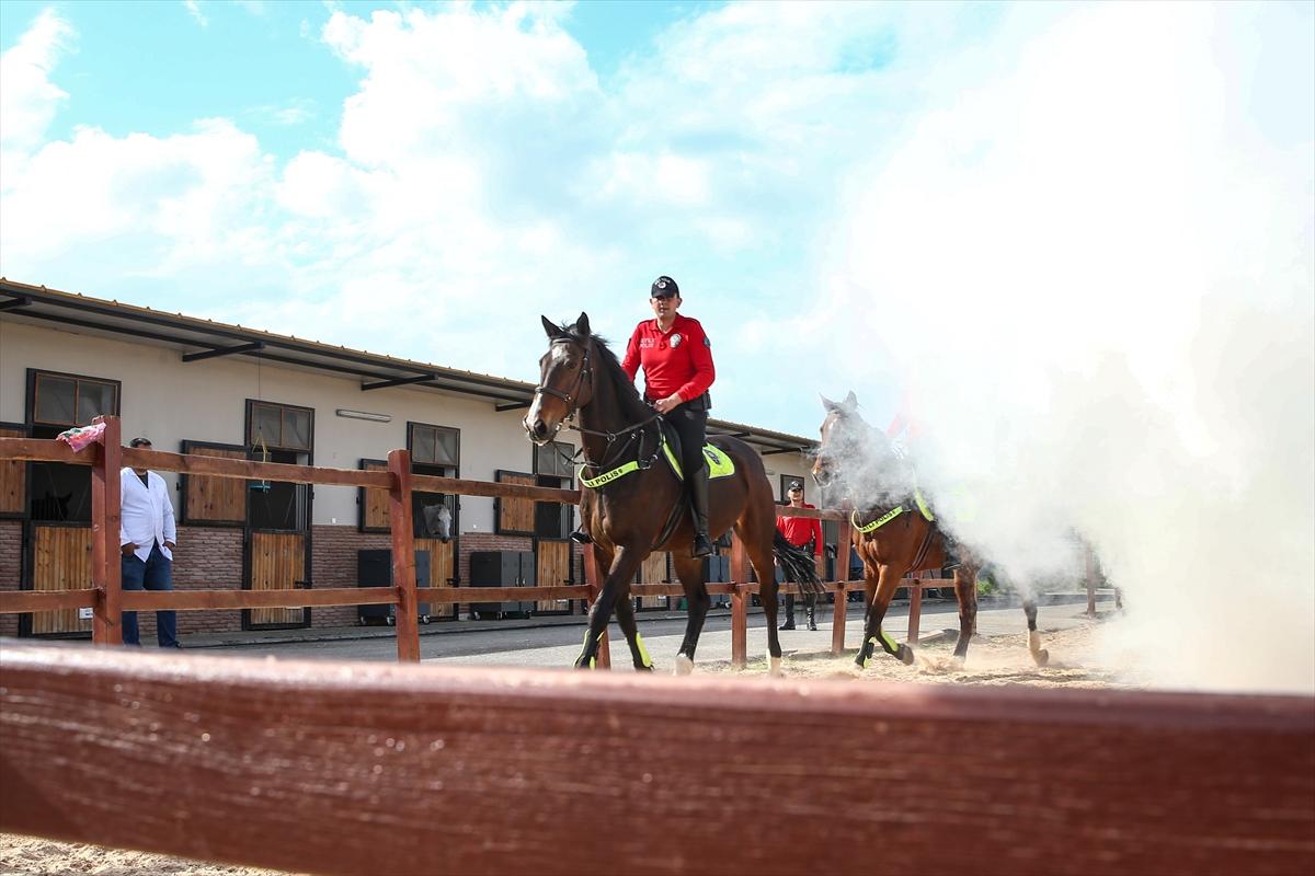 Huzur ve güveni sağlayan atlı polislerin eğitimlerinden kareler