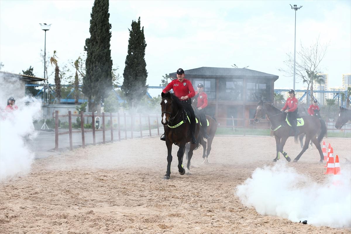 Huzur ve güveni sağlayan atlı polislerin eğitimlerinden kareler