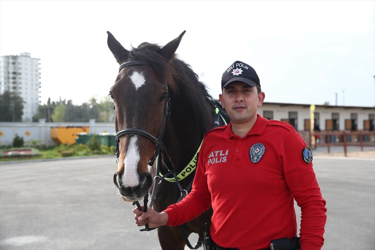 Huzur ve güveni sağlayan atlı polislerin eğitimlerinden kareler