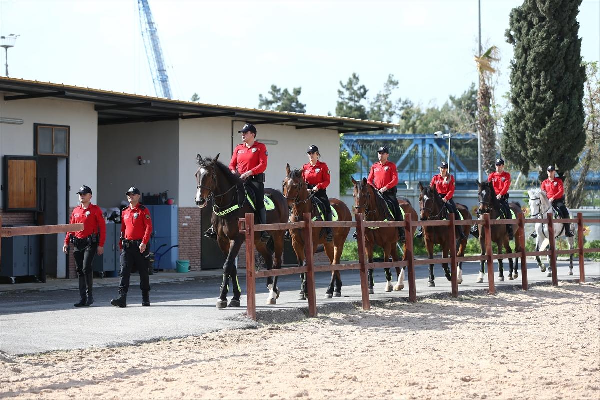 Huzur ve güveni sağlayan atlı polislerin eğitimlerinden kareler