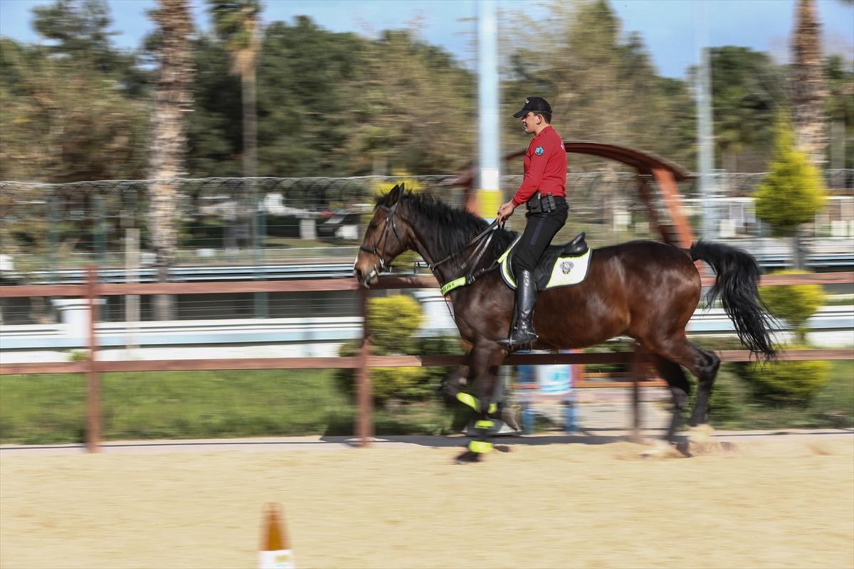 Huzur ve güveni sağlayan atlı polislerin eğitimlerinden kareler