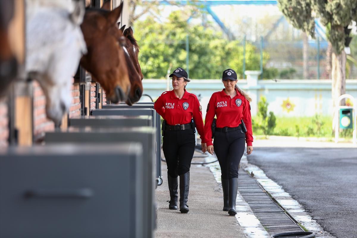 Huzur ve güveni sağlayan atlı polislerin eğitimlerinden kareler