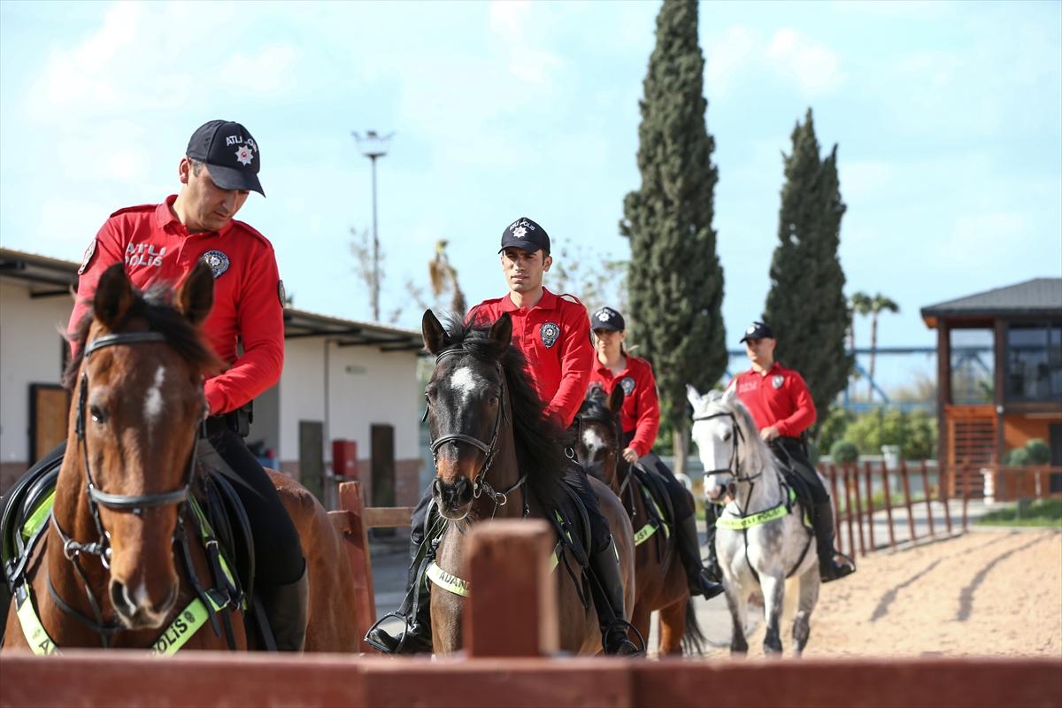 Huzur ve güveni sağlayan atlı polislerin eğitimlerinden kareler