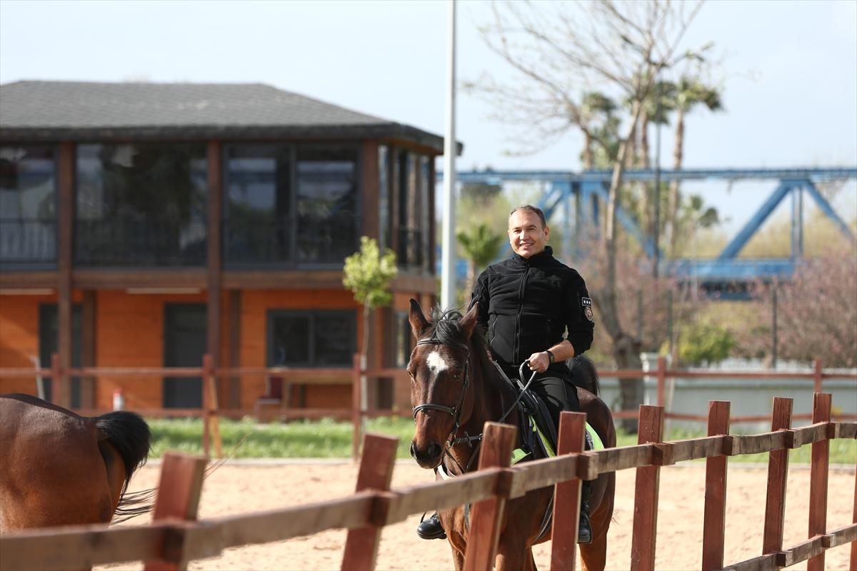 Huzur ve güveni sağlayan atlı polislerin eğitimlerinden kareler