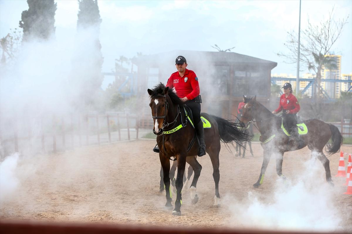 Huzur ve güveni sağlayan atlı polislerin eğitimlerinden kareler