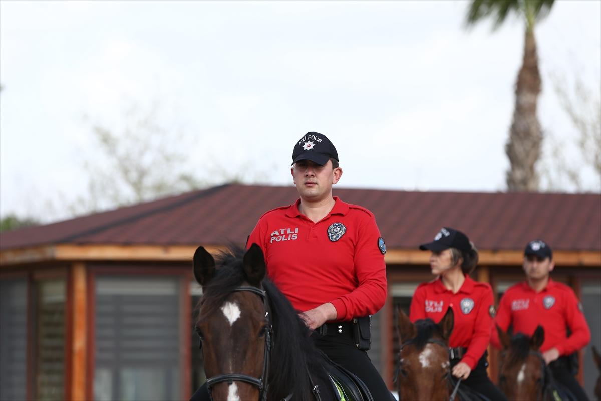 Huzur ve güveni sağlayan atlı polislerin eğitimlerinden kareler