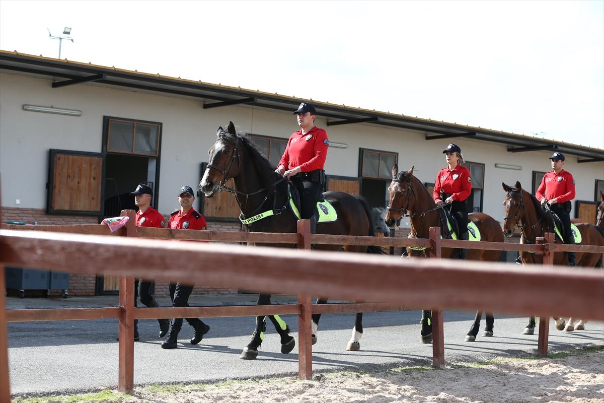 Huzur ve güveni sağlayan atlı polislerin eğitimlerinden kareler
