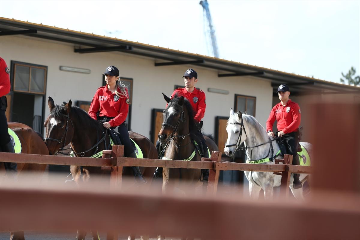 Huzur ve güveni sağlayan atlı polislerin eğitimlerinden kareler