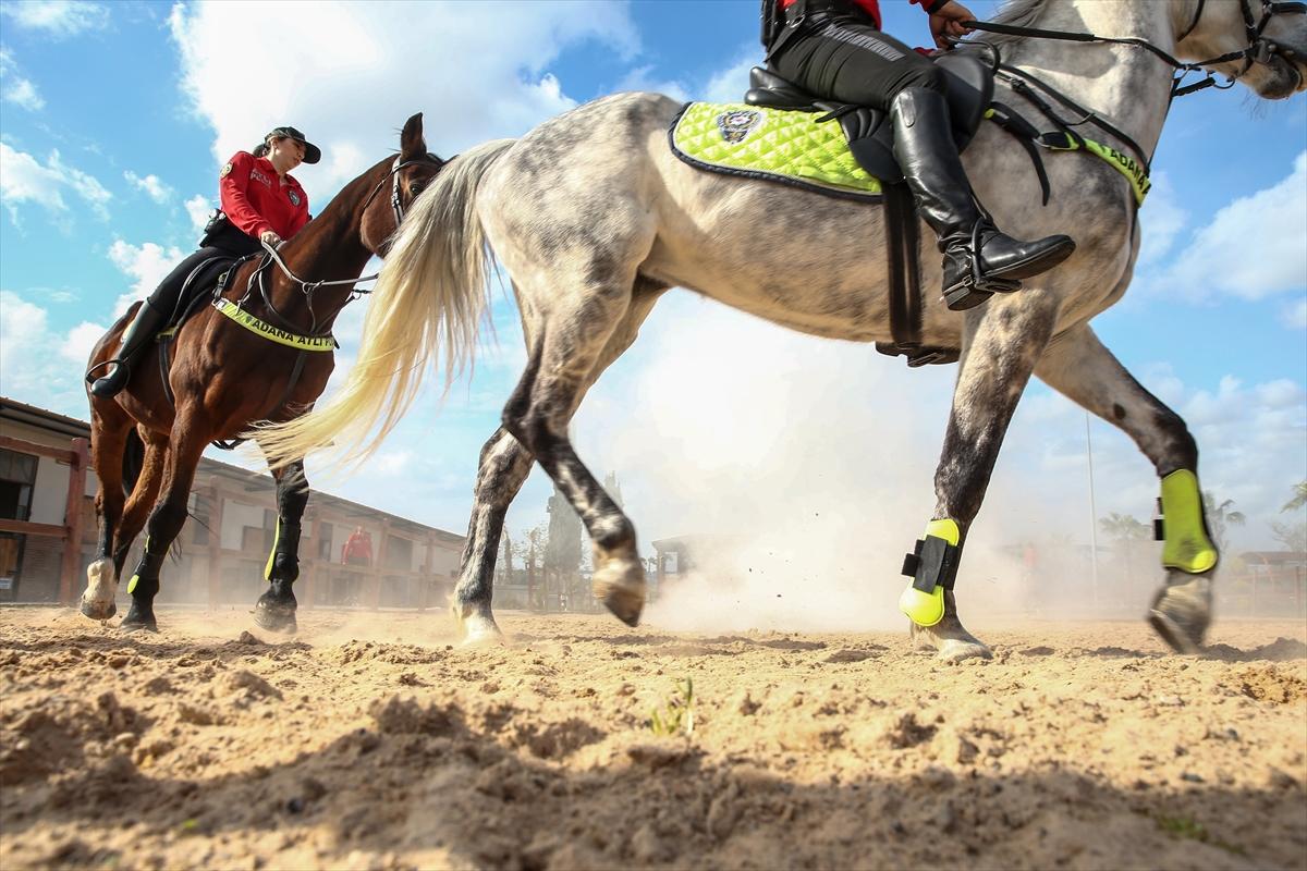 Huzur ve güveni sağlayan atlı polislerin eğitimlerinden kareler