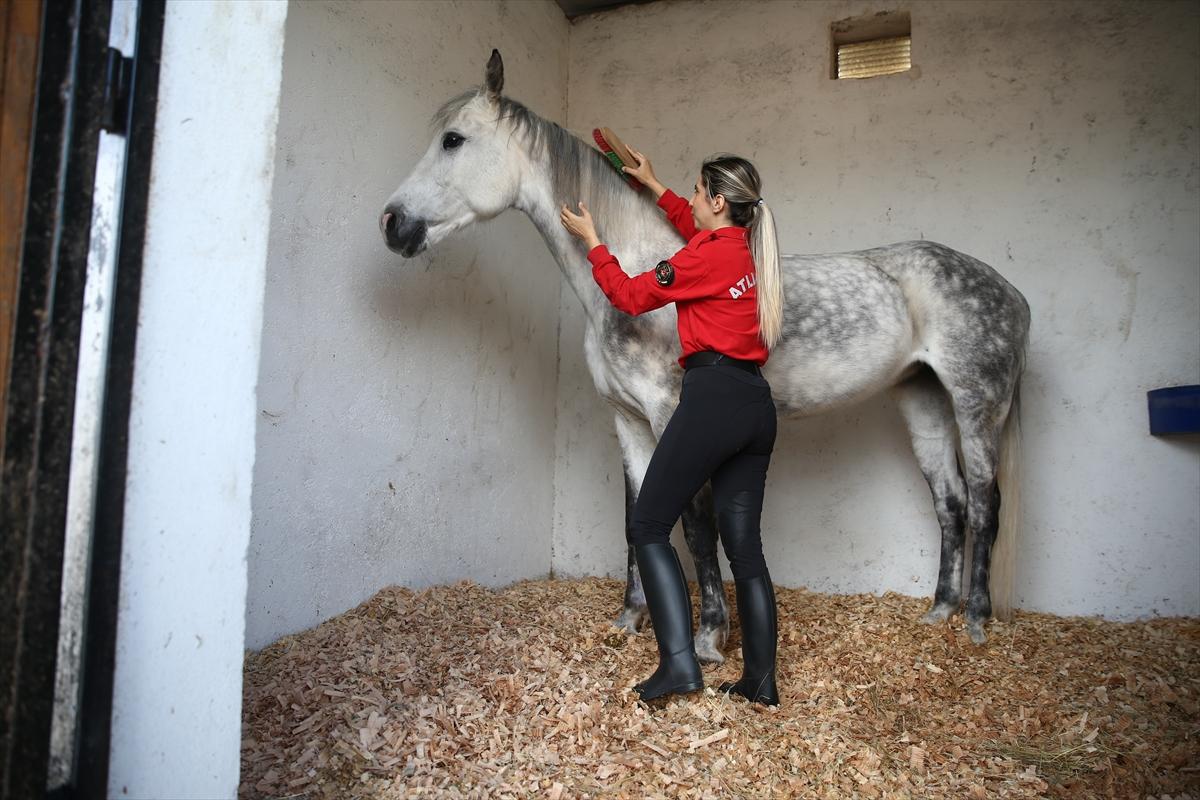 Huzur ve güveni sağlayan atlı polislerin eğitimlerinden kareler