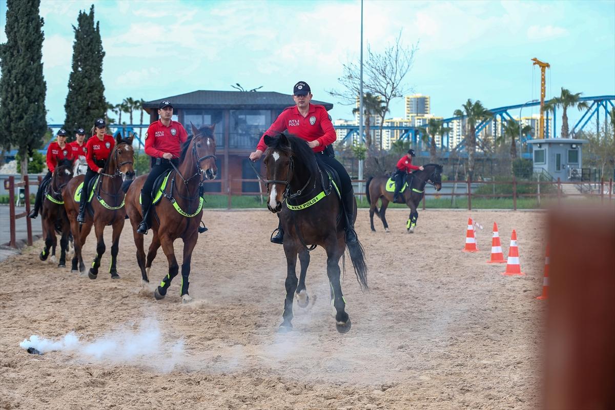 Huzur ve güveni sağlayan atlı polislerin eğitimlerinden kareler