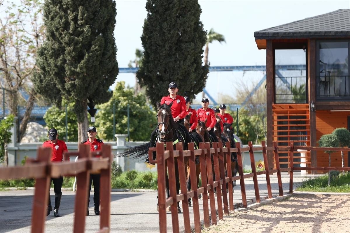 Huzur ve güveni sağlayan atlı polislerin eğitimlerinden kareler