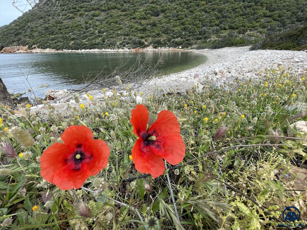 Likya Yolu, doğaseverleri tarih ve doğa ile buluşturuyor
