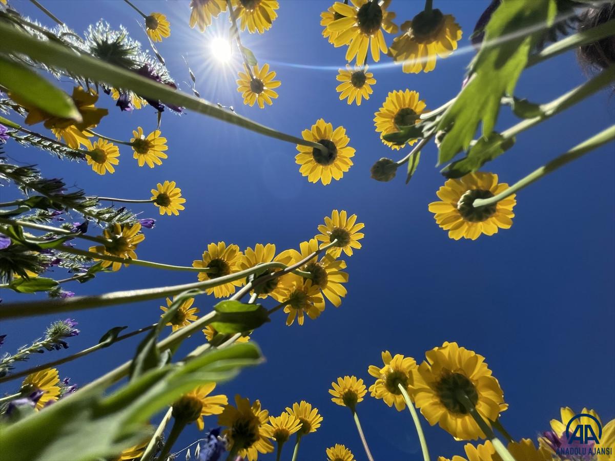 Likya Yolu, doğaseverleri tarih ve doğa ile buluşturuyor