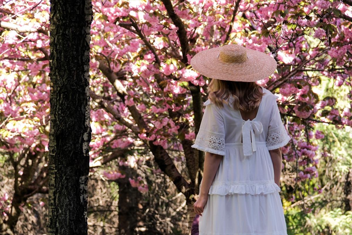 Ankara'da Sakura mevsimi başladı