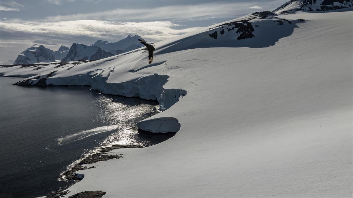 Antarktika'da erime rekoru