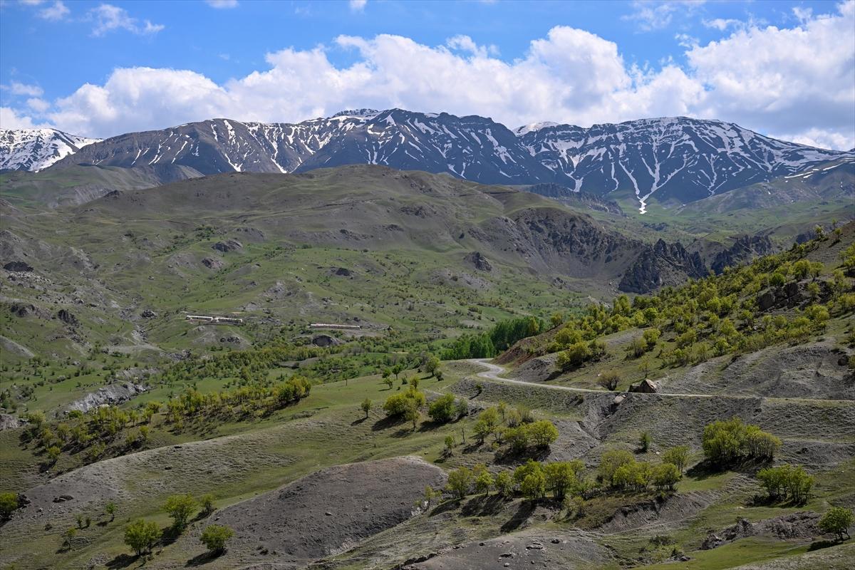 Terörden temizlenen yaylalara huzur geldi
