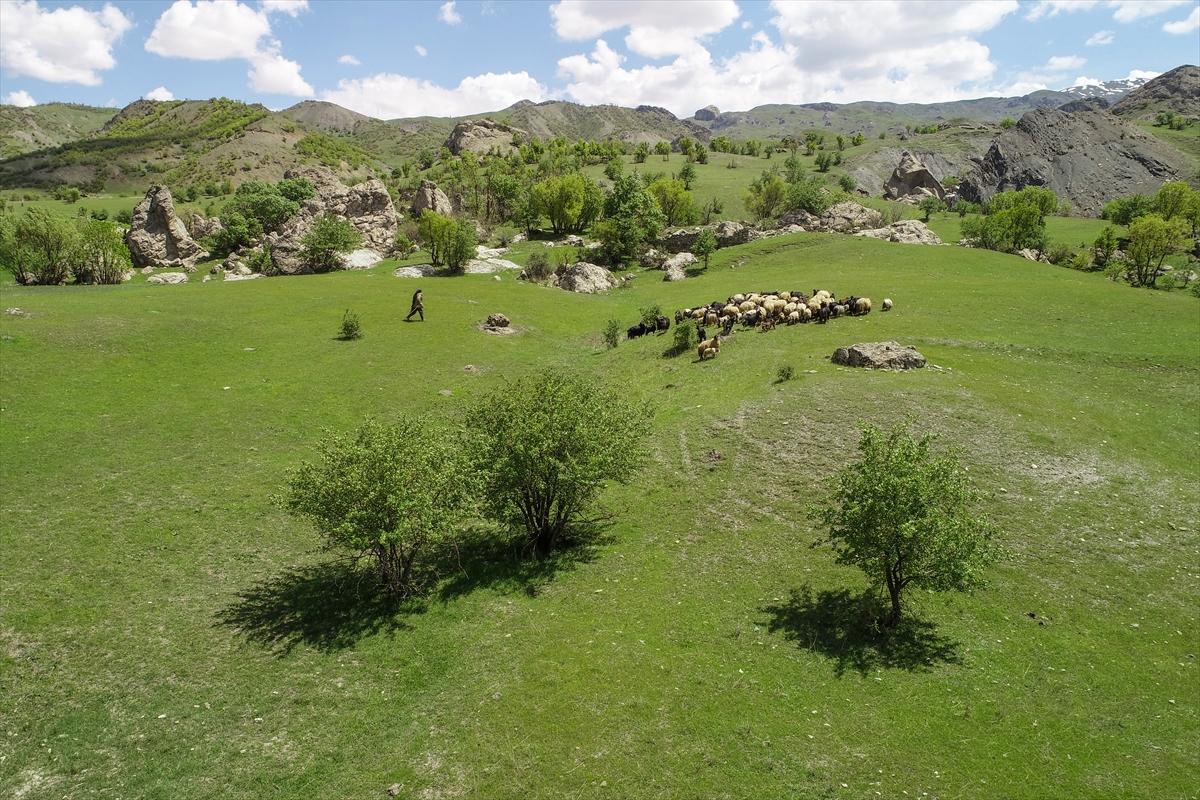 Terörden temizlenen yaylalara huzur geldi