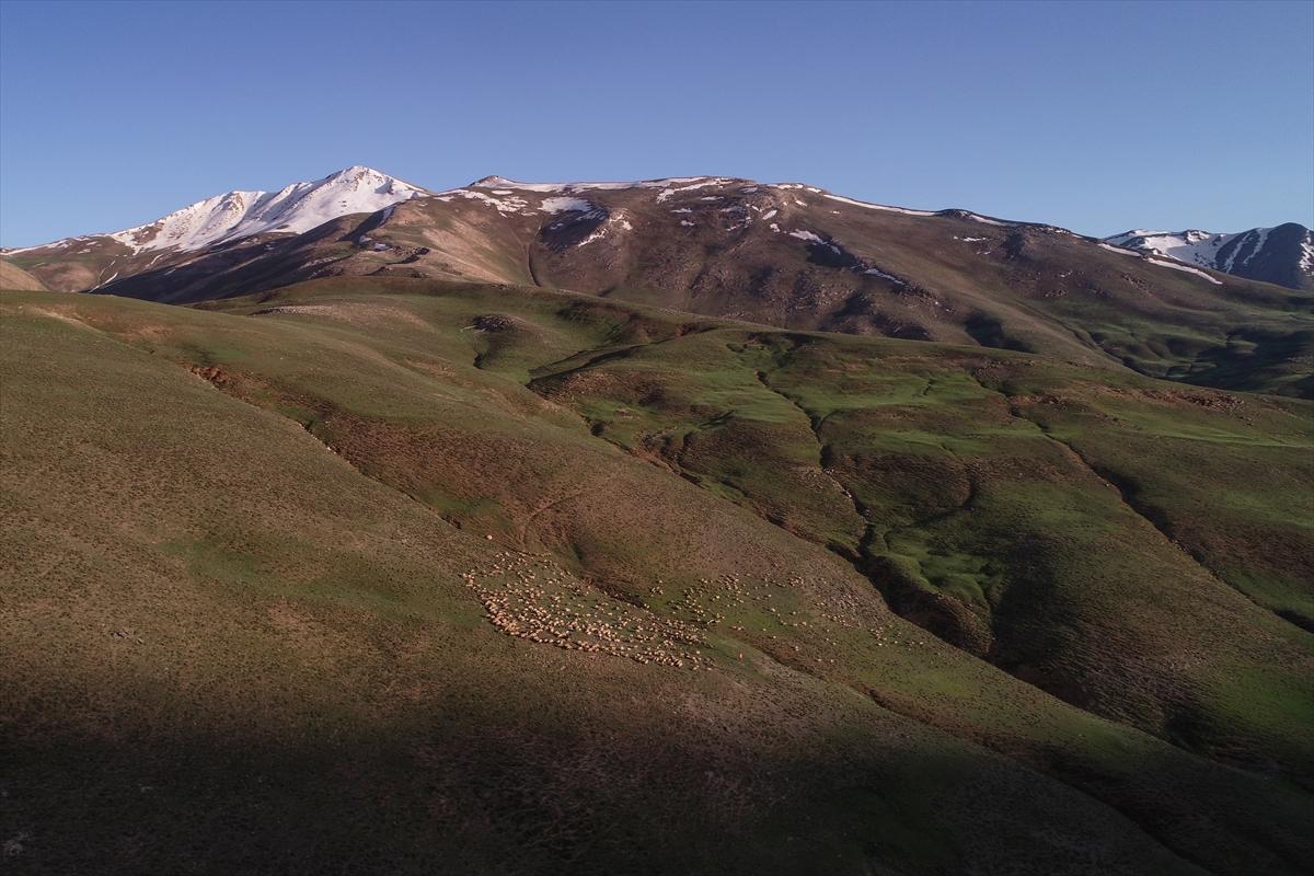 Terörden temizlenen yaylalara huzur geldi