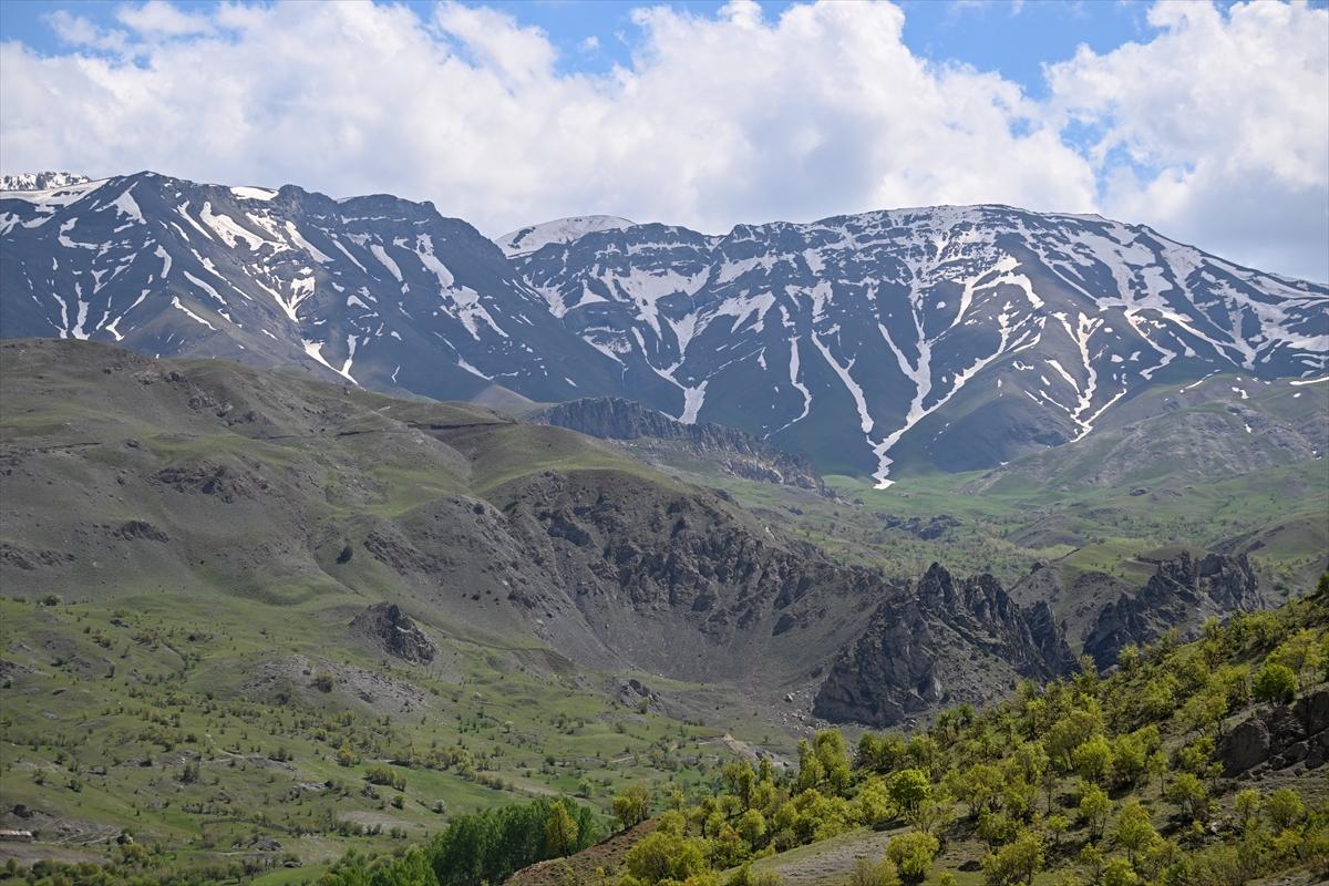 Terörden temizlenen yaylalara huzur geldi