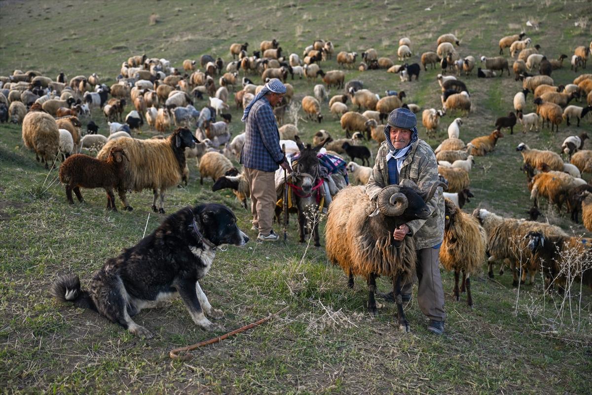 Terörden temizlenen yaylalara huzur geldi