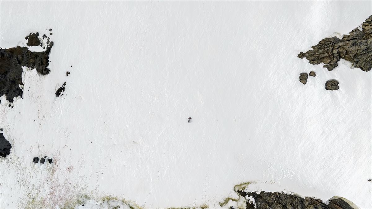 Antarktika'da erime rekoru