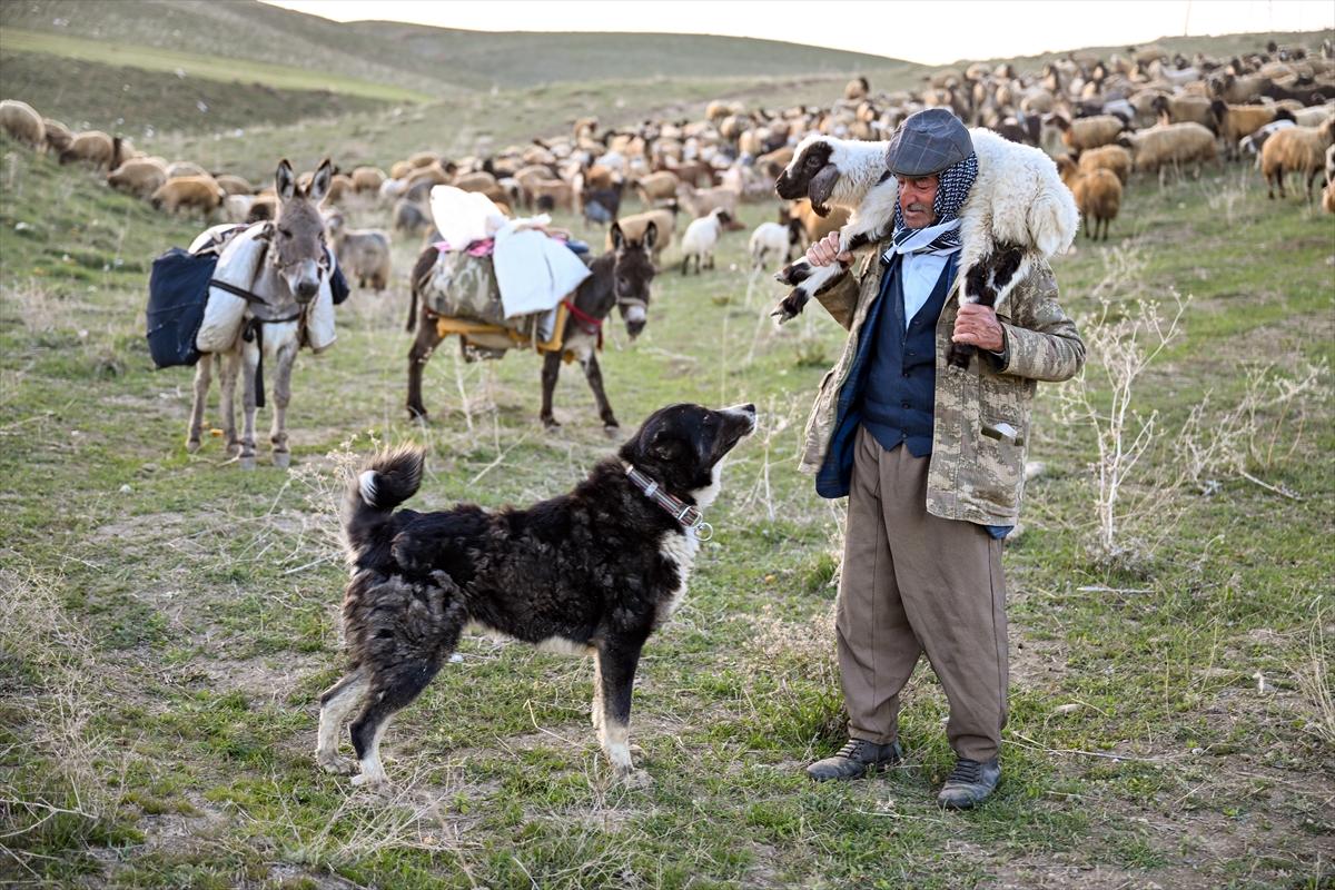 Terörden temizlenen yaylalara huzur geldi