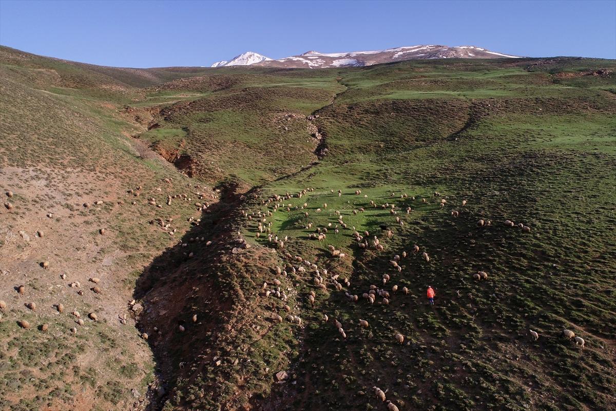 Terörden temizlenen yaylalara huzur geldi