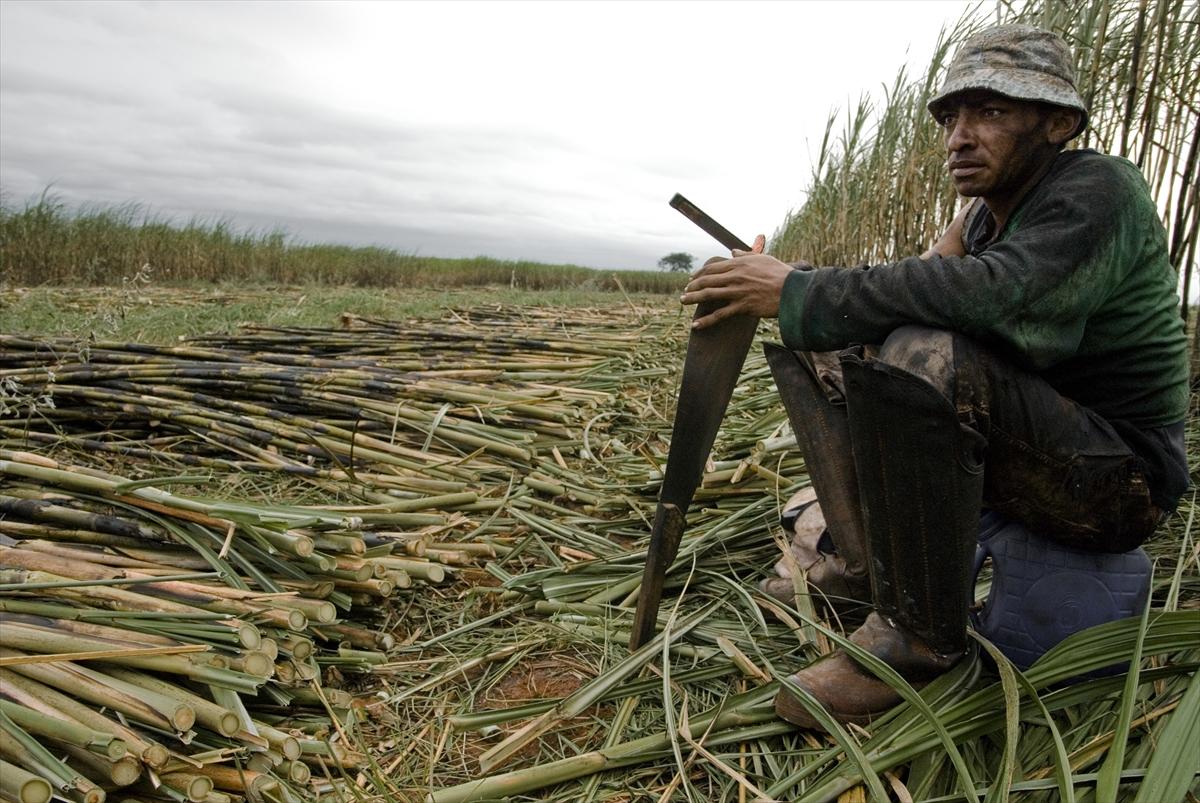 Dünya'da gıda üretimi çiftçilere emanet