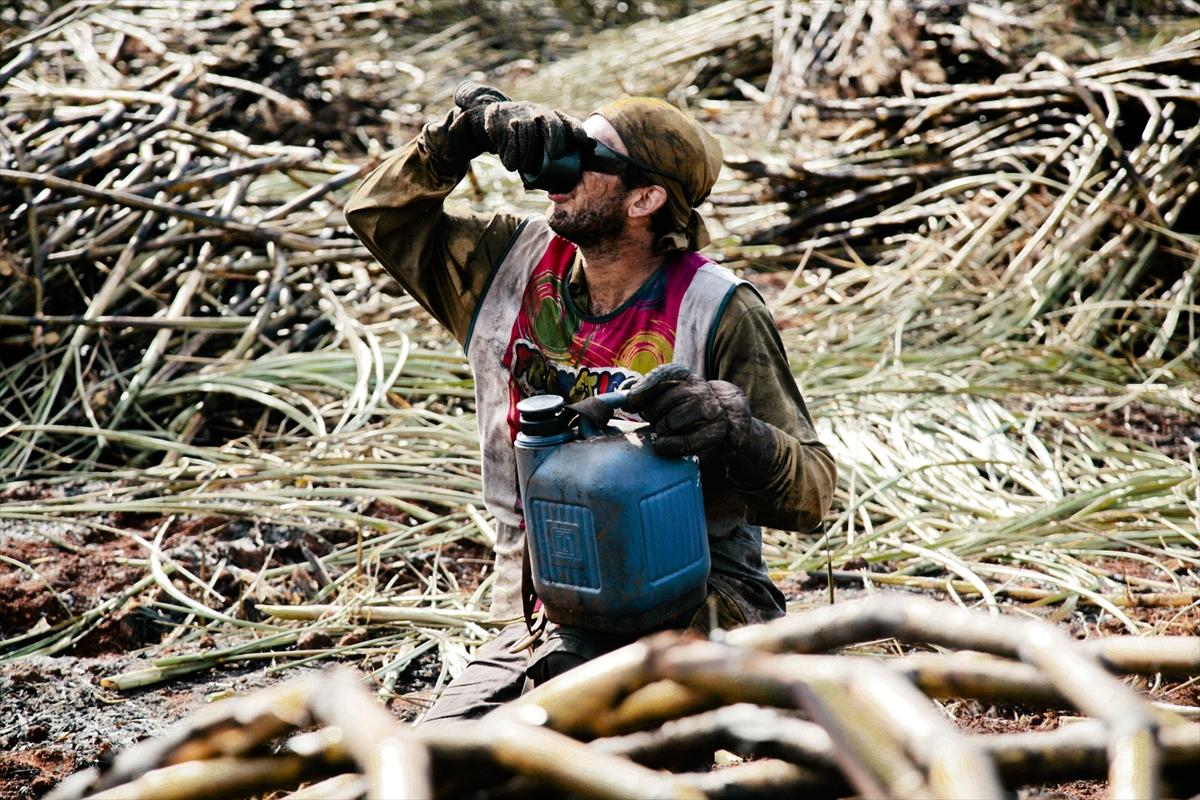 Dünya'da gıda üretimi çiftçilere emanet