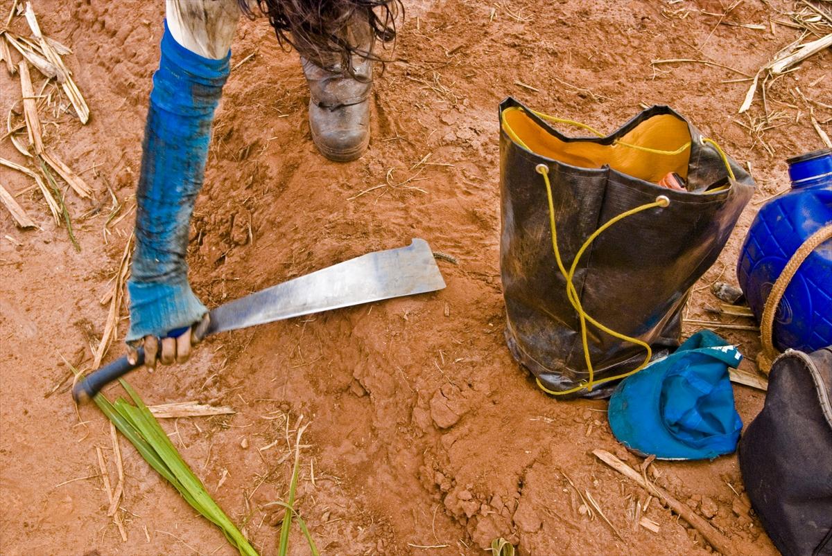 Dünya'da gıda üretimi çiftçilere emanet