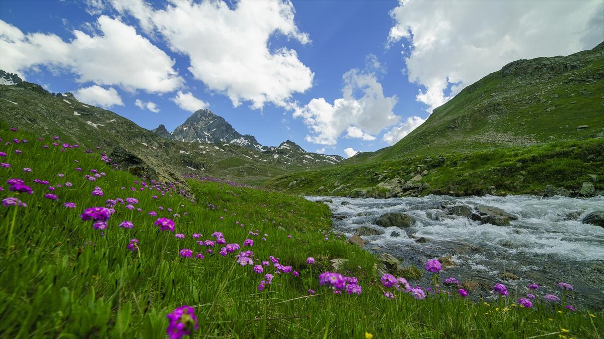 Kaçkar Dağları, bayramda doğa tutkunlarının uğrak adresi oldu