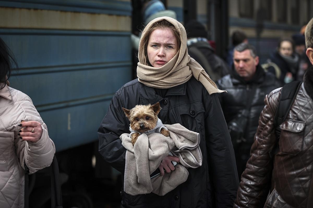 Rusya Ukrayna savaşının 500'üncü günü