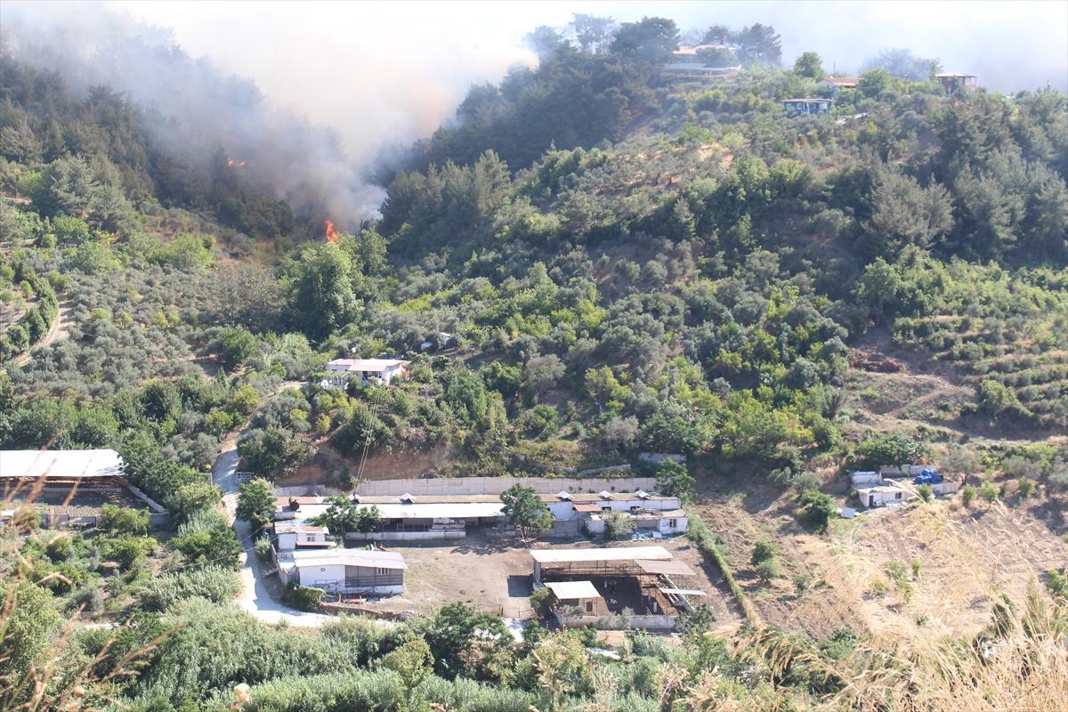 Deprem bölgesi Hatay'da bu kez de yangın paniği