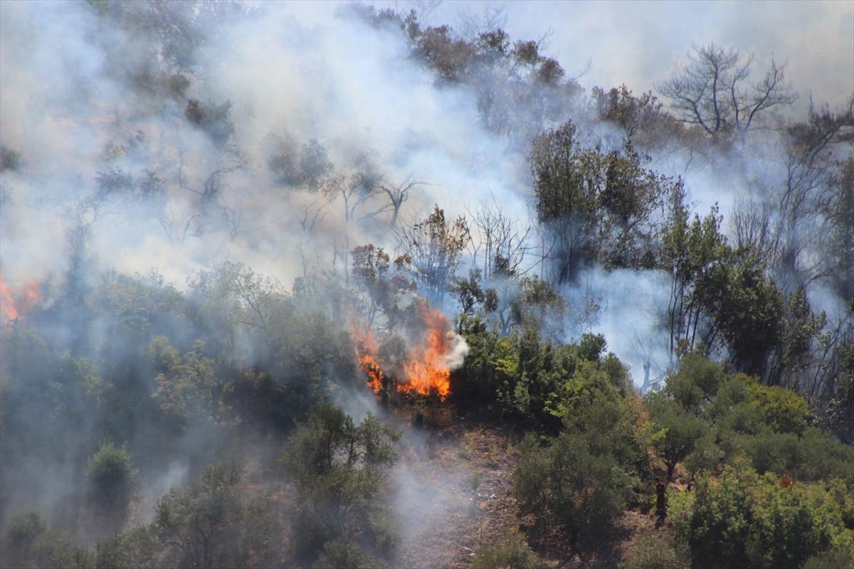 Deprem bölgesi Hatay'da bu kez de yangın paniği