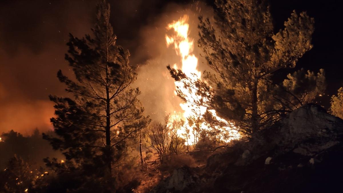 Türkiye yangınla mücadele veriyor!