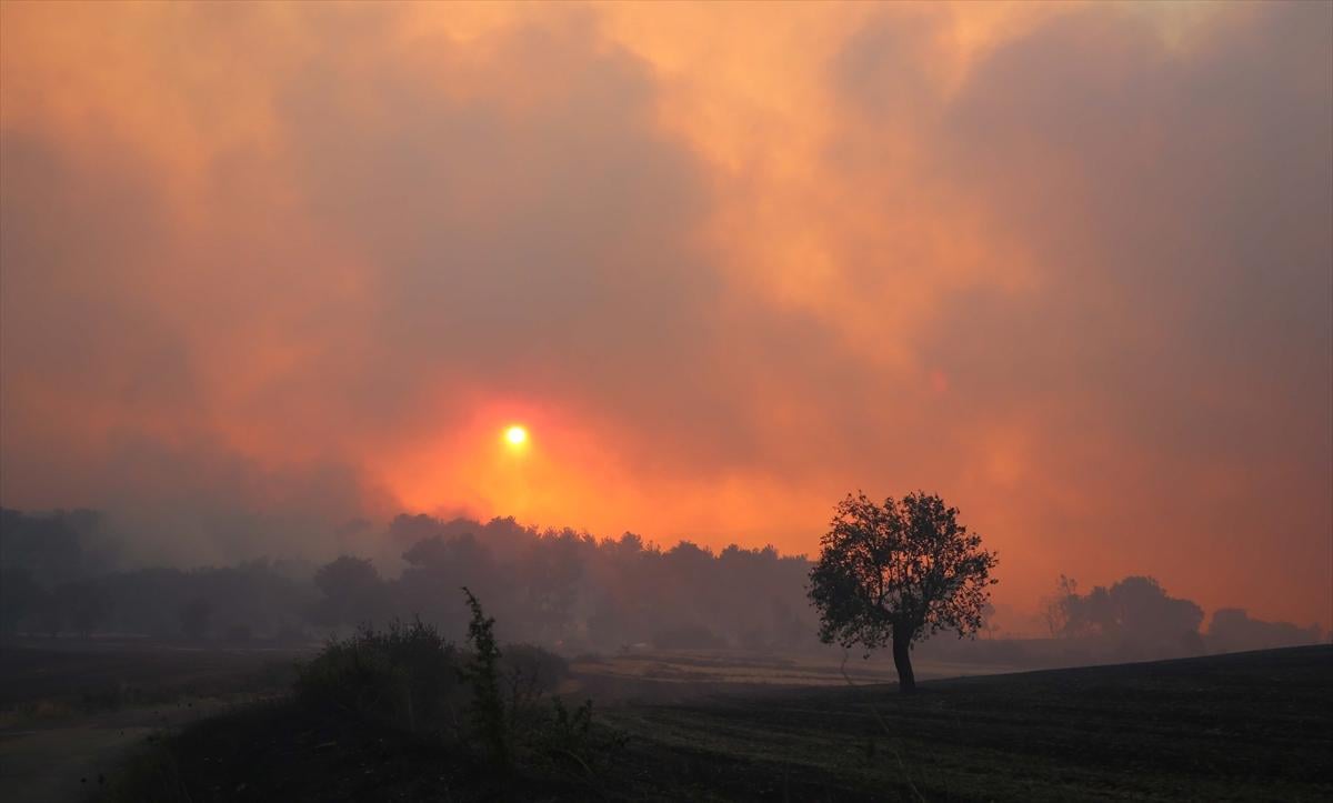 Türkiye yangınla mücadele veriyor!
