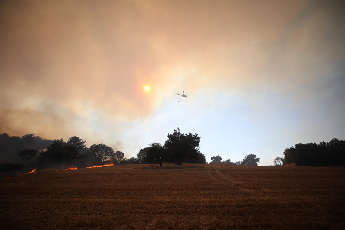 Türkiye yangınla mücadele veriyor!
