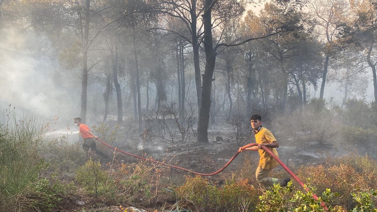 Türkiye yangınla mücadele veriyor!