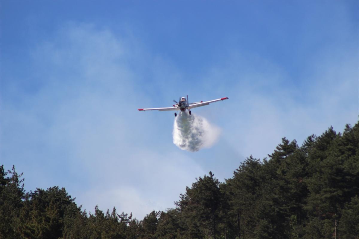 Türkiye yangınla mücadele veriyor!