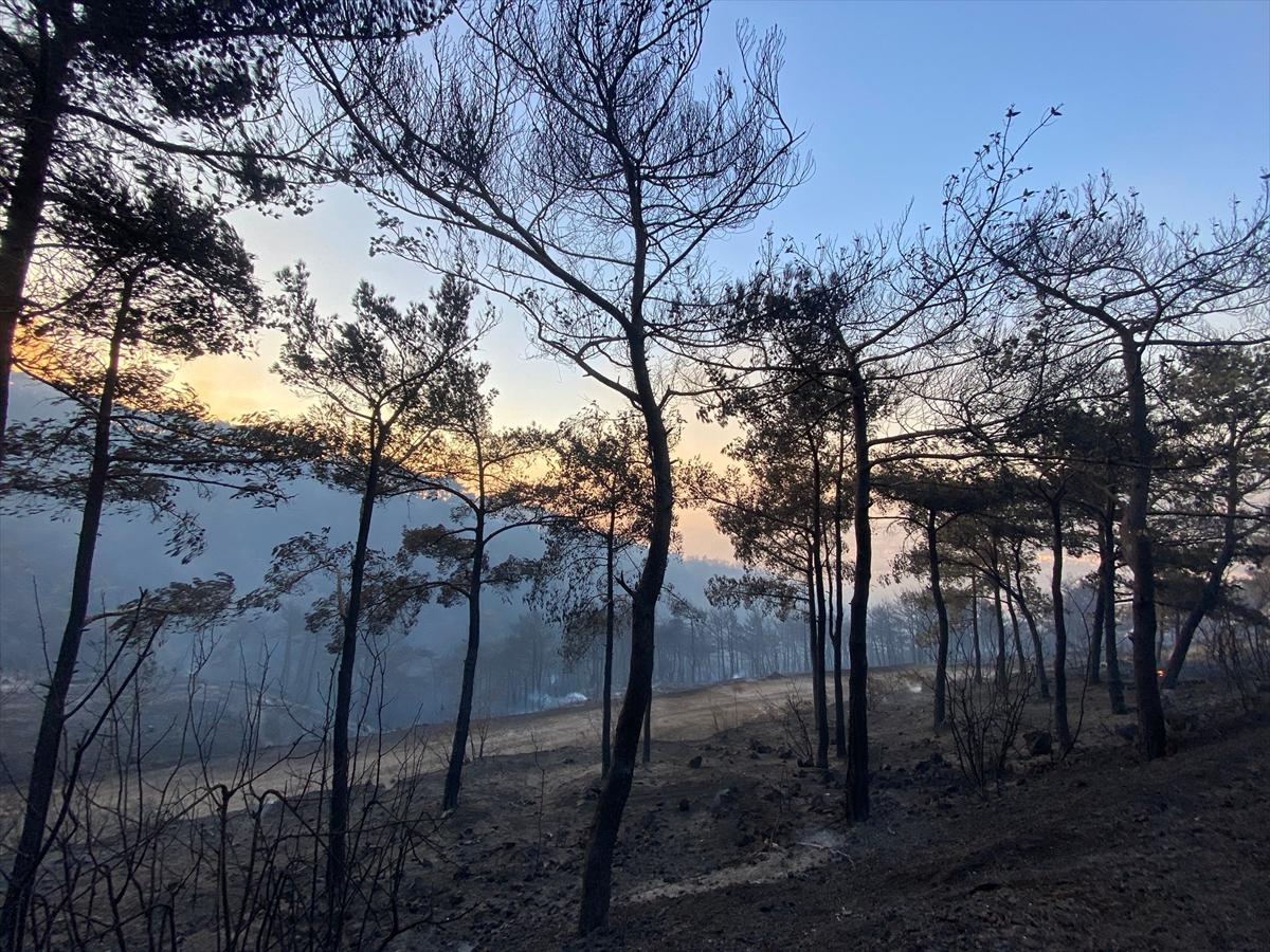 Türkiye yangınla mücadele veriyor!