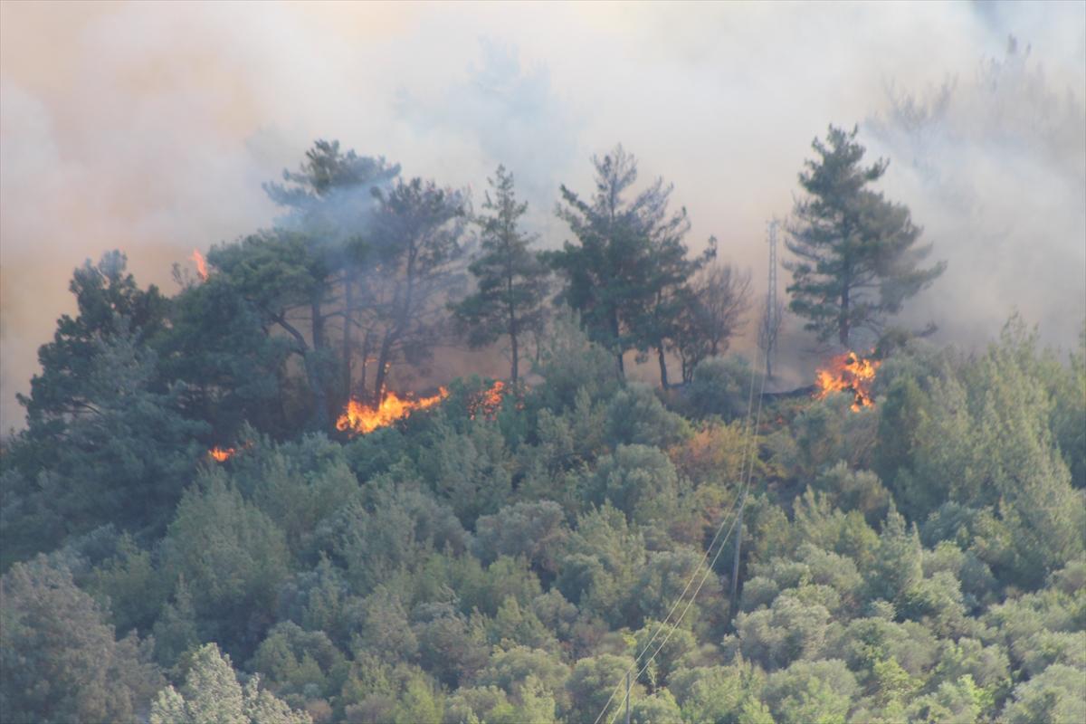 Türkiye yangınla mücadele veriyor!