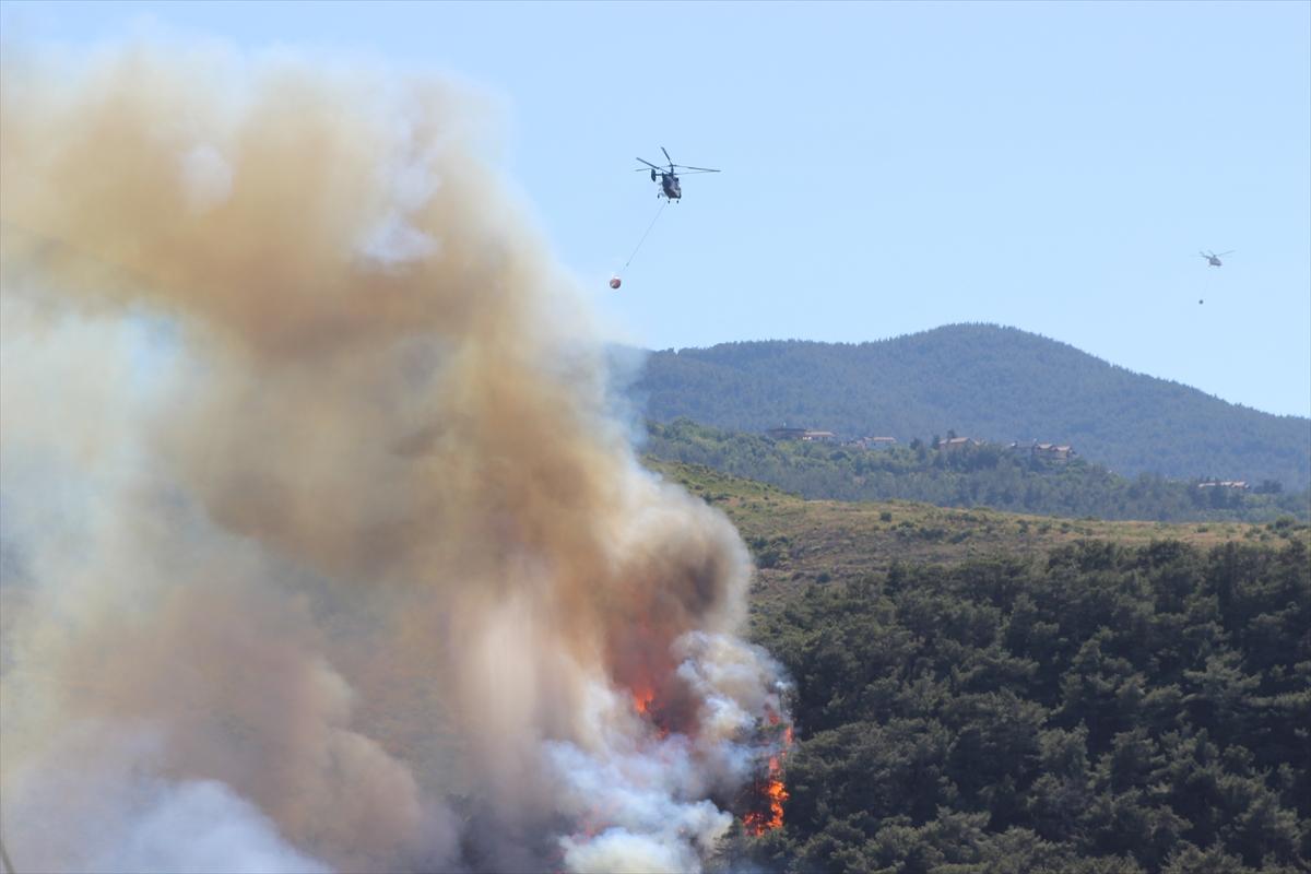 Türkiye yangınla mücadele veriyor!