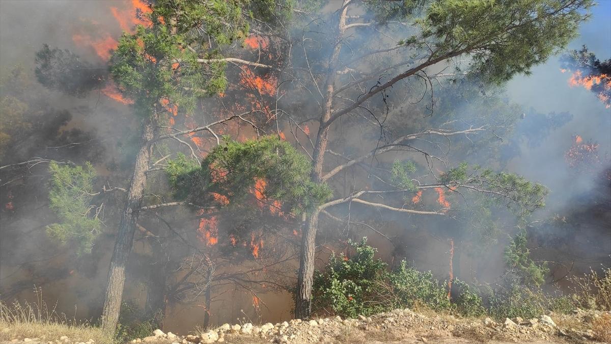 Türkiye yangınla mücadele veriyor!
